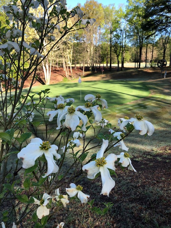 <span style="color:#95a5a6;">Welcome to Meadow Lakes Golf Club</span>